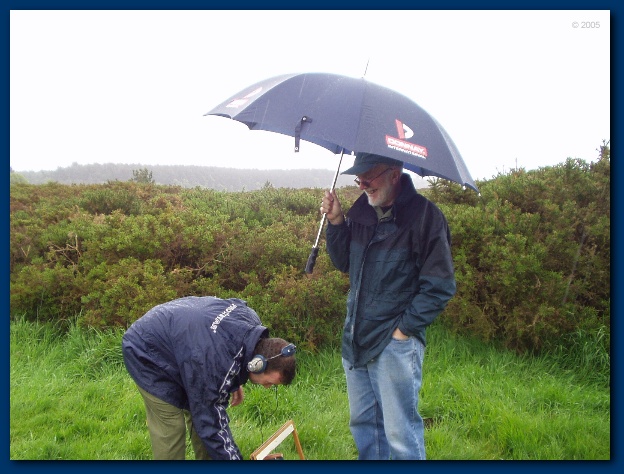 600x449 pixels (122K)